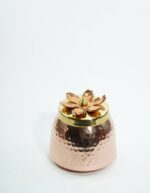 Container Jar Small - Image 6